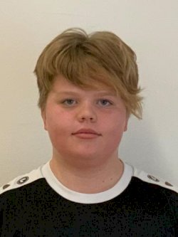 Ole Nils Dobbertin