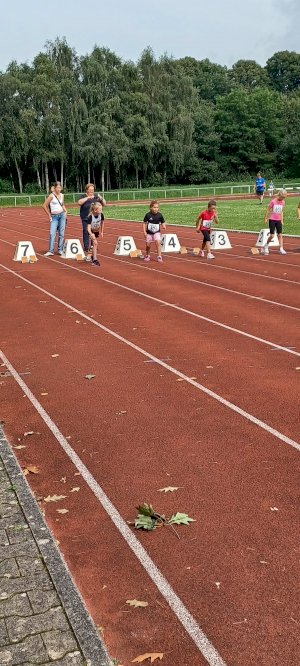 Kreismeisterschaft der Leichtathletik
