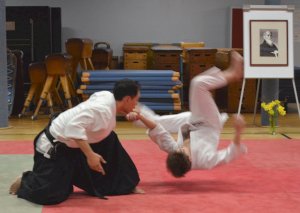 2019-03-28; Toyoda (4)