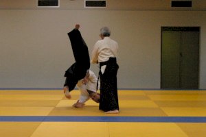 20231023 Aikido-Lehrgang Beveren (12)