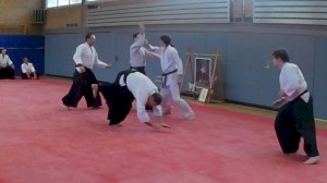 Internationaler Aikido-Lehrgang bei uns im Eschpark