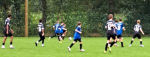 D1 belohnt sich nicht
