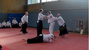 Internationaler Aikido-Lehrgang bei uns im Eschpark