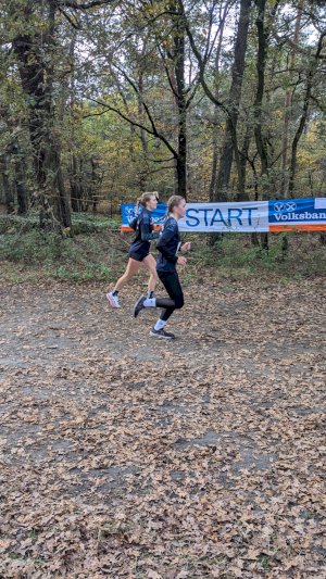 In Groß Hesepe läuft‘s