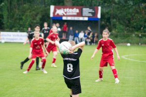 Meistertitel für D1