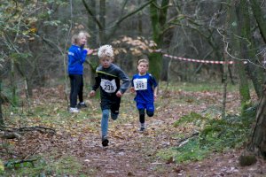 In Groß Hesepe läuft‘s