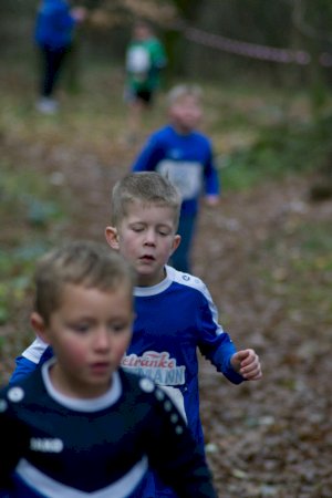 In Groß Hesepe läuft‘s