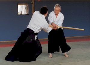 Lehrgang mit dem AAI-Präsidenten Tatsuo Toyoda Sensei