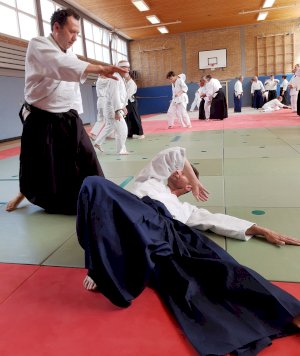 Lehrgang mit dem AAI-Präsidenten Tatsuo Toyoda Sensei