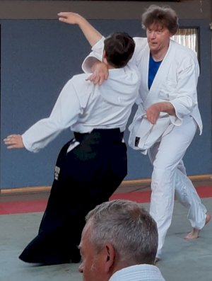 Lehrgang mit dem AAI-Präsidenten Tatsuo Toyoda Sensei