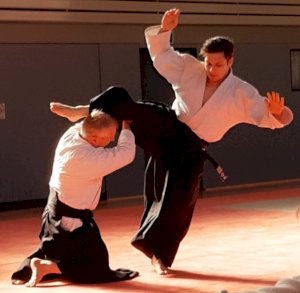 Lehrgang mit dem AAI-Präsidenten Tatsuo Toyoda Sensei