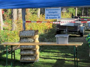 11ter Martinslauf in Klein Hesepe wieder ein voller Erfolg