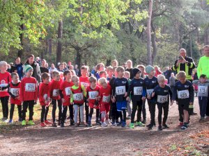 11ter Martinslauf in Klein Hesepe wieder ein voller Erfolg