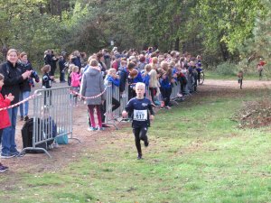 11ter Martinslauf in Klein Hesepe wieder ein voller Erfolg