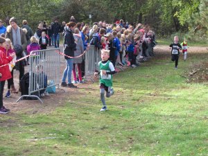 11ter Martinslauf in Klein Hesepe wieder ein voller Erfolg