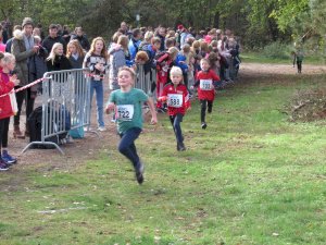 11ter Martinslauf in Klein Hesepe wieder ein voller Erfolg