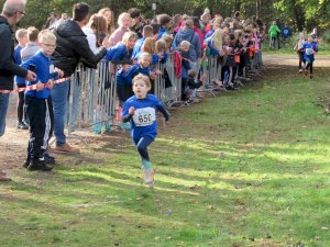 11ter Martinslauf in Klein Hesepe wieder ein voller Erfolg