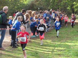 11ter Martinslauf in Klein Hesepe wieder ein voller Erfolg