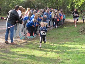 11ter Martinslauf in Klein Hesepe wieder ein voller Erfolg