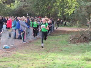 11ter Martinslauf in Klein Hesepe wieder ein voller Erfolg