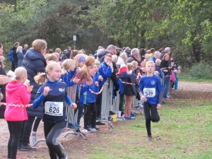 11ter Martinslauf in Klein Hesepe wieder ein voller Erfolg