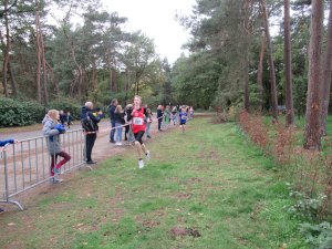 11ter Martinslauf in Klein Hesepe wieder ein voller Erfolg
