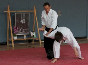 Lehrgang mit dem AAI-Präsidenten Tatsuo Toyoda Sensei