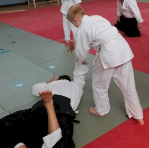 Lehrgang mit dem AAI-Präsidenten Tatsuo Toyoda Sensei