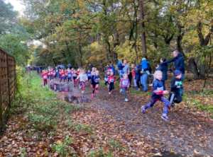 Viele Teilnehmer beim 12. Martinslauf