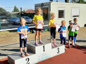 Leichtathleten in Werlte mit starken Leistungen