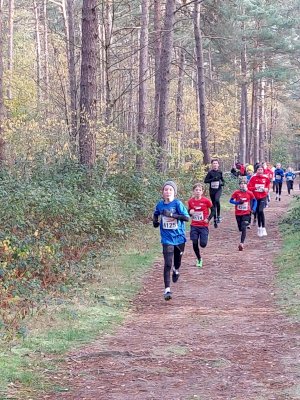 Erfolgreiches Abschneiden beim Emslandcross in Lingen