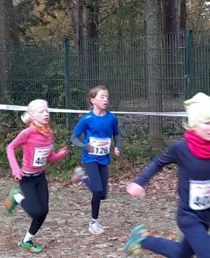 Erfolgreiches Abschneiden beim Emslandcross in Lingen