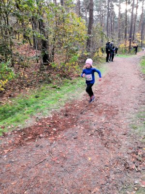 Erfolgreiches Abschneiden beim Emslandcross in Lingen