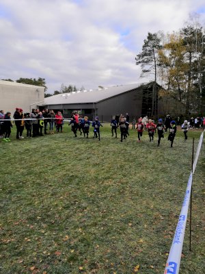 Erfolgreiches Abschneiden beim Emslandcross in Lingen