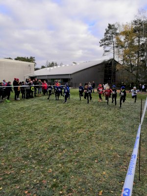 Erfolgreiches Abschneiden beim Emslandcross in Lingen
