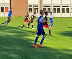 Erfolgreiche Woche für unsere E-Junioren