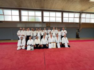 Neue Aikido-Matten