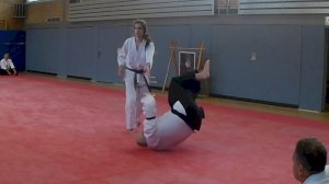 Internationaler Aikido-Lehrgang bei uns im Eschpark
